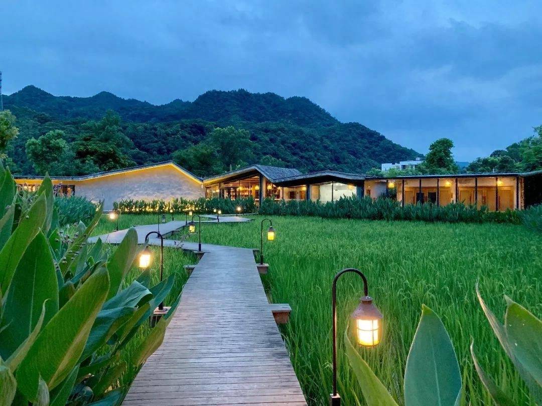 惠州博罗6家自然野趣田园里的民宿,走进盎然绿意山水丨南方民宿