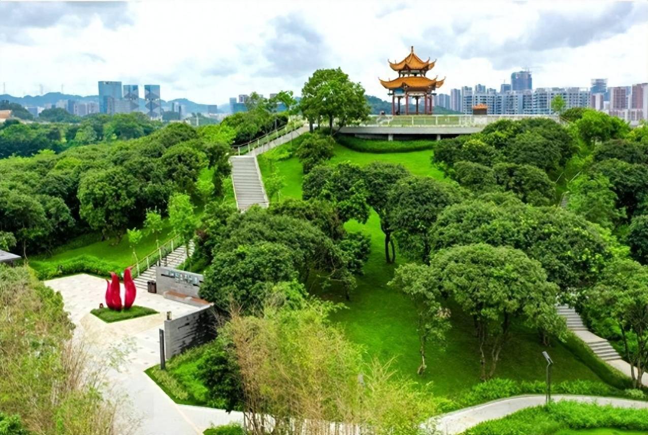 前方到站,光明科学城!_虹桥公园_建设_中心