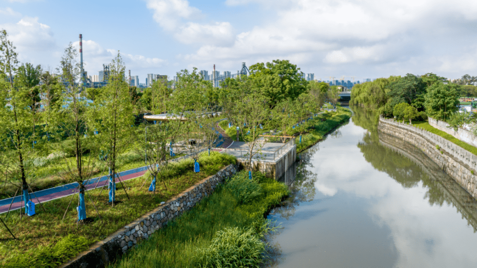 电厂河康园路-康桥路段亲水平台电厂河康园路-康桥路段水岸生境康园路