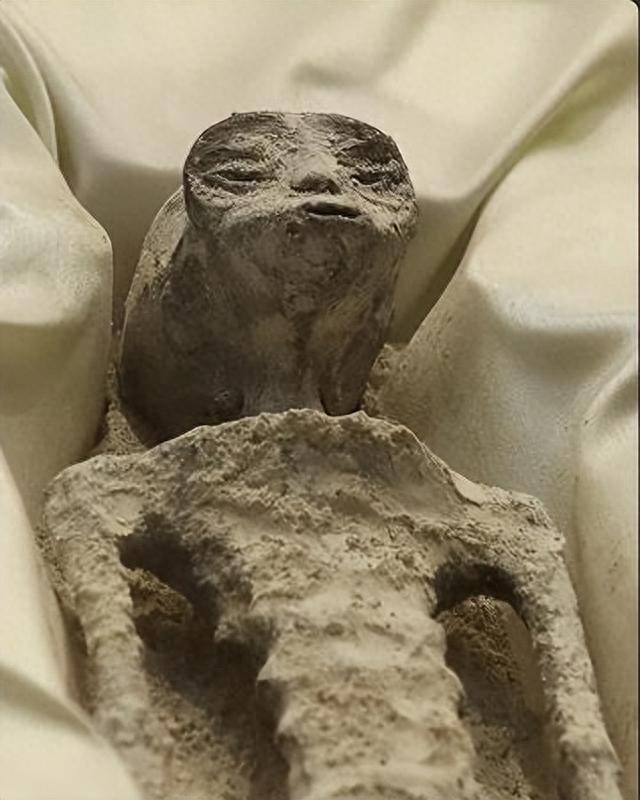 墨西哥公开的两具外星人尸体,体内还有三个蛋!