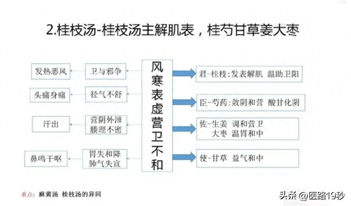图解中医经典方剂的君臣佐使配伍!