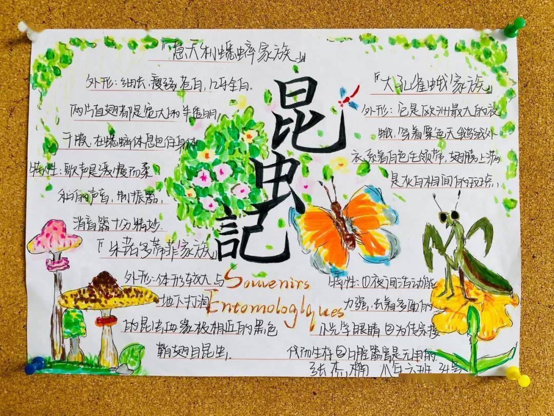 台江校区梦之队语文暑期作品展 | 点滴汇集 逐梦前行_同学_思维_茶水