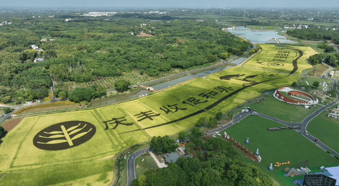 芜湖湾沚区区长翟发金图片