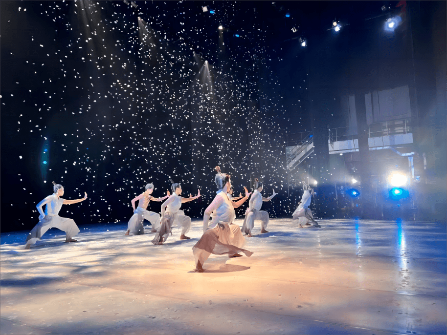 本次开幕式暨舞蹈展演上,台湾中国文艺协会,台湾艺术大学,台湾体育