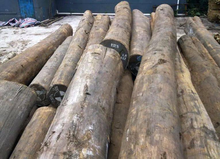 中国古代四大名木_铁力木_紫檀_家具