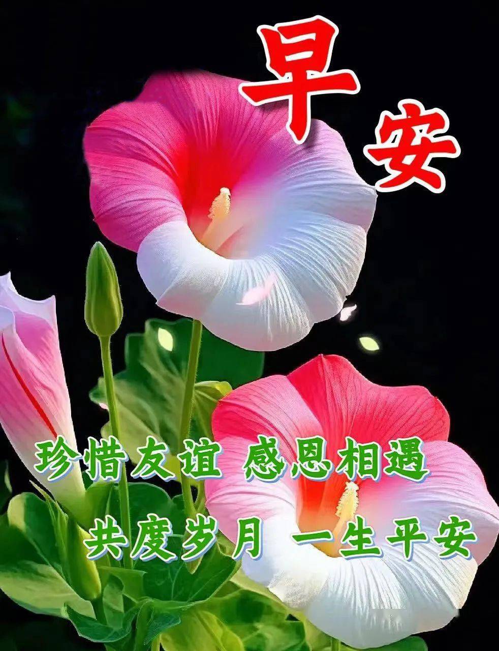 一叶知秋早晚凉,尽享初秋好时光;每日问候暖心房,祝友幸福添吉祥.
