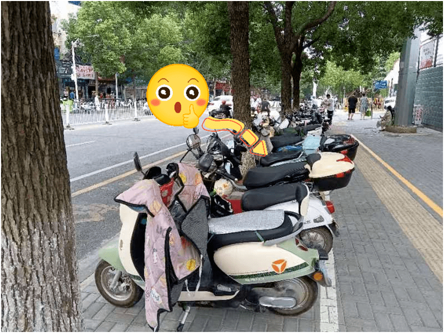 石城东路电动车规范停车4龟鹤池路面干净整洁3陈家台街市民文明养犬2