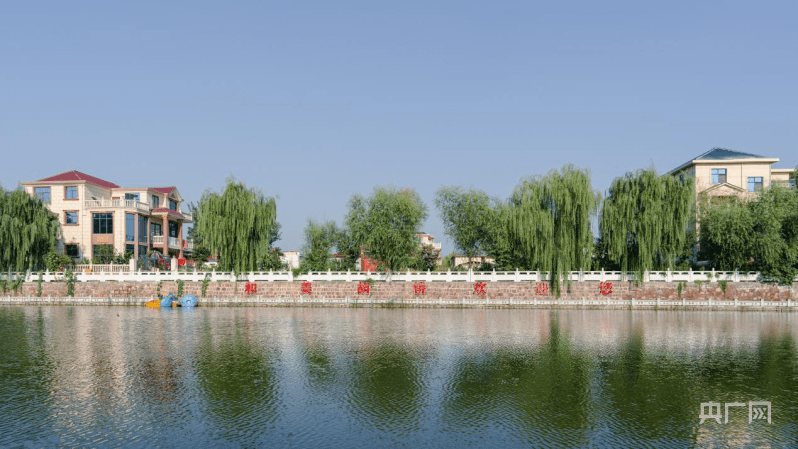 创五星 促发展丨漯河市临颍县胡桥村:从苗木种植到文旅融合 乡村的