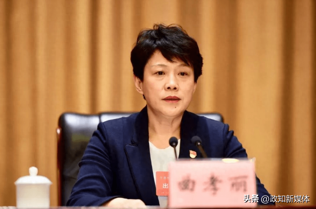 组织部部长,河西区委副书记,天津市民政局副局长,局长,红桥区委书记等