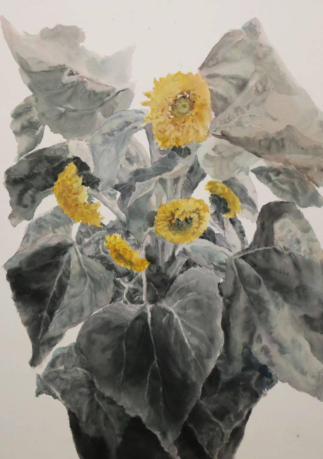 王辉宇静物水彩_作品_艺术_中国