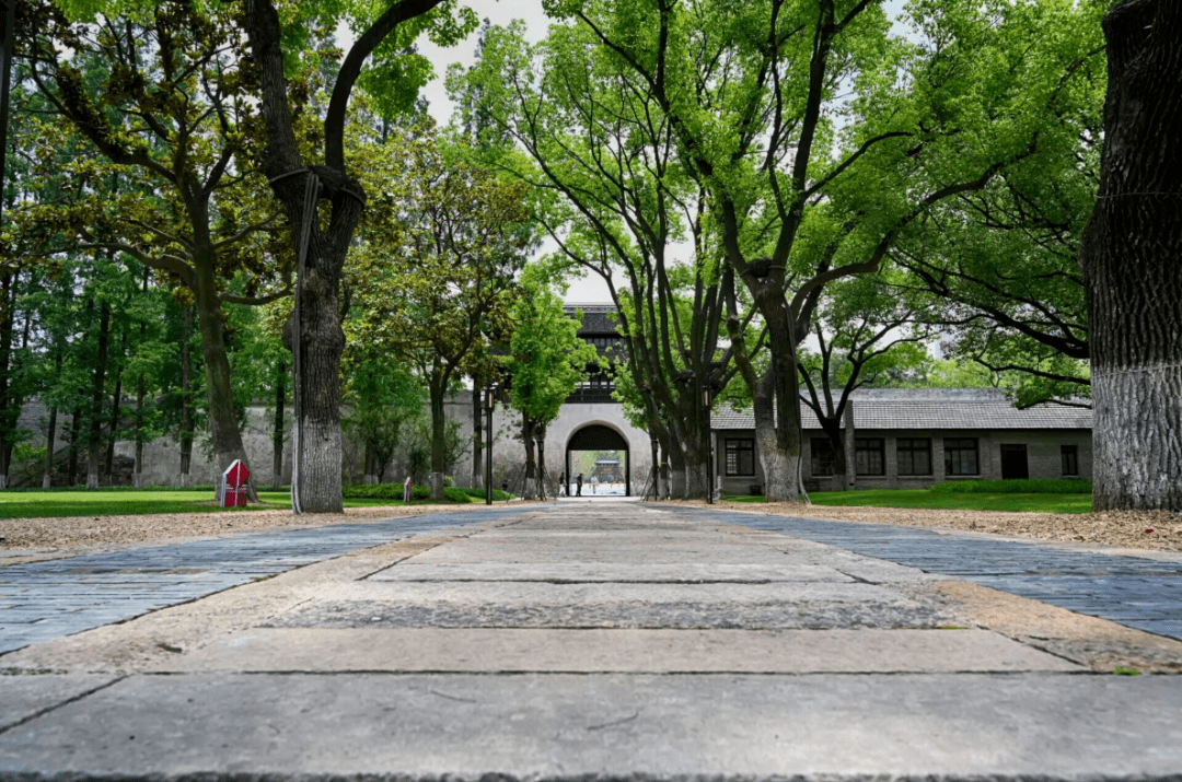 故事里的"子城",藏着嘉兴的前世今生_嘉禾_花月_历史