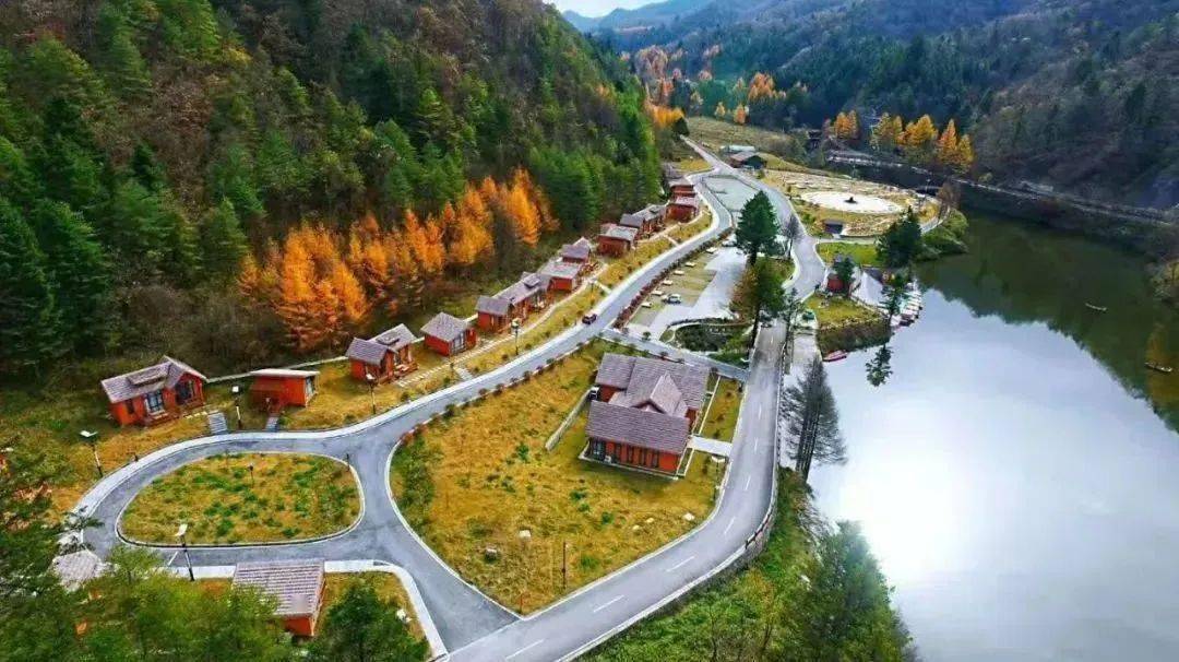 帐篷_营地_烧烤