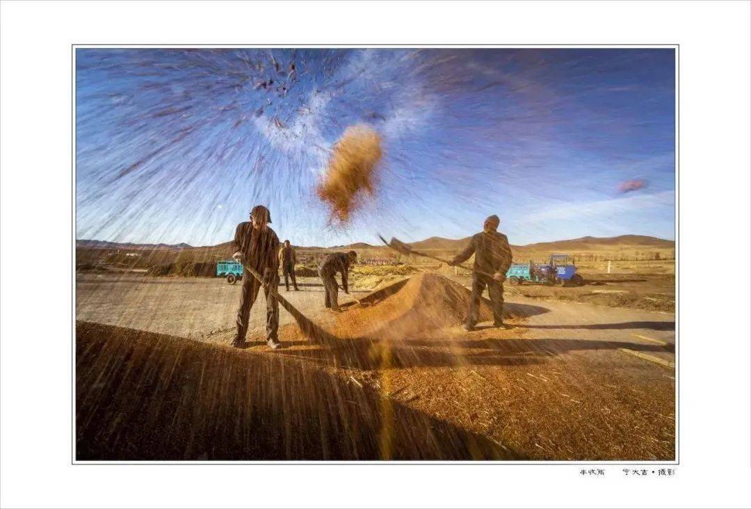 花季(二等奖) 舍丹摄影