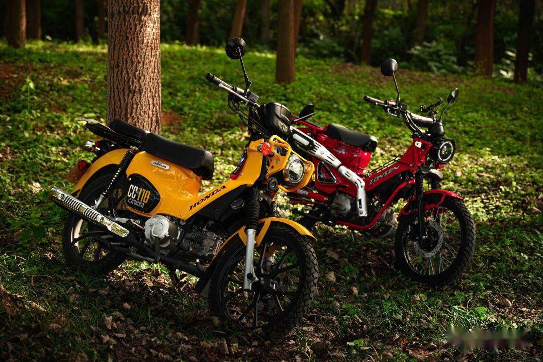 差价四千元的对决,宗申野米对比本田cc110丨长测_搜狐汽车_搜狐网