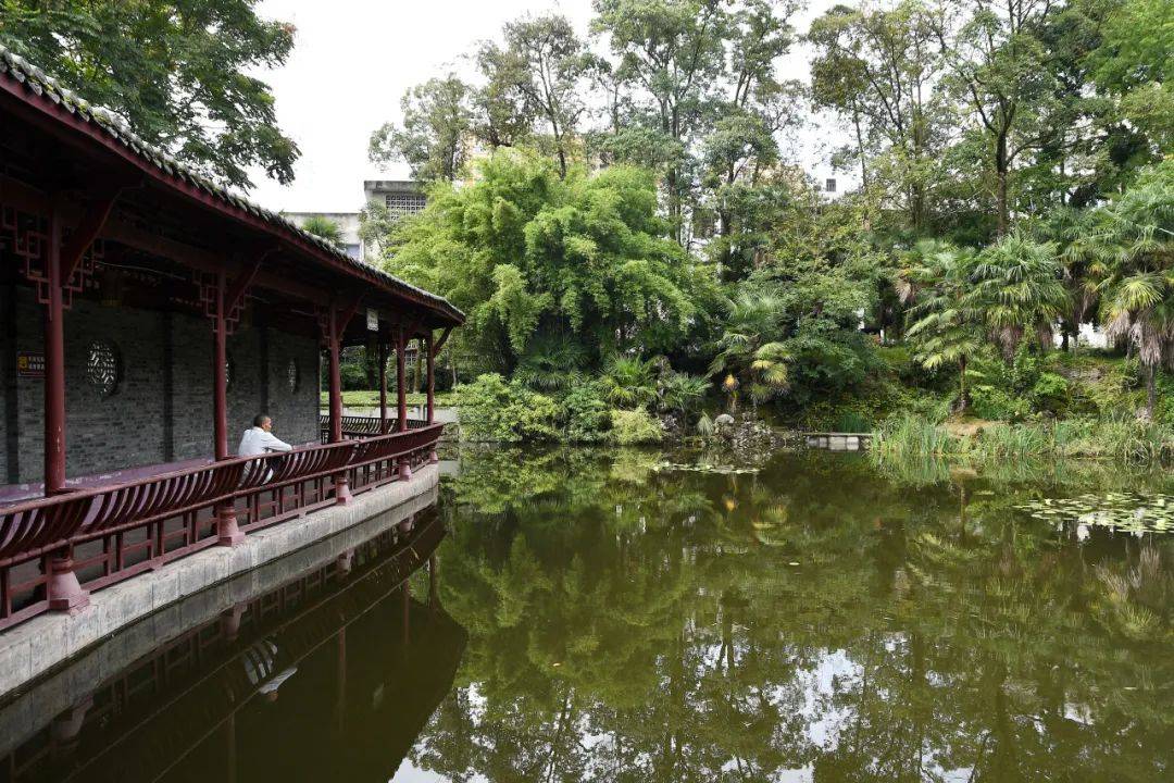 静惠山公园的前世今生_大邑县_人民_休闲