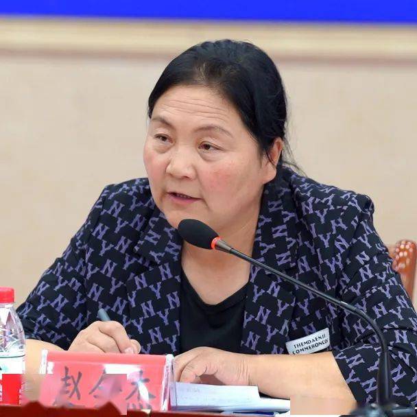 赵会杰全国人大代表,内蒙古自治区赤峰市松山区大庙镇党委副书记,小