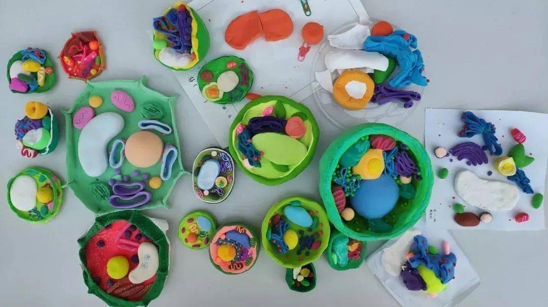 汝州一高生物教研月活动--走进细胞