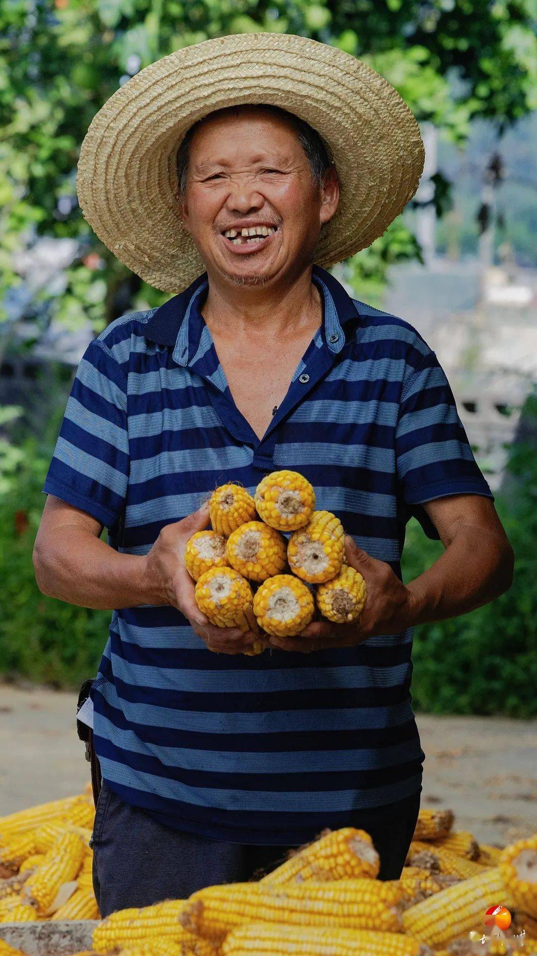 第六个中国农民丰收节