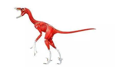 恐龙复原图——科学与艺术的杰作_赵闯_古生物_汪筱林