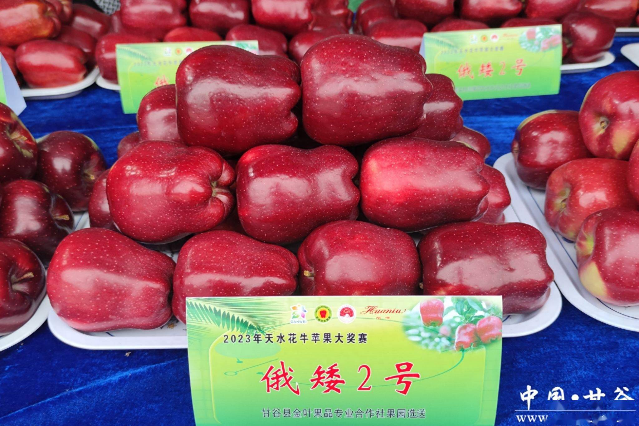 在首届中国·天水花牛苹果大会上荣获1金2银3优秀佳绩_企业_果品_果园