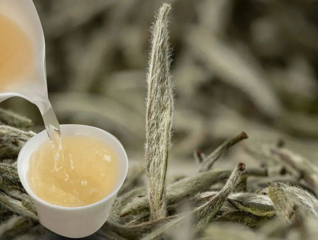 闽茶凭什么这么豪横?细数大福建的"七宗最"!_福州_茉莉_茶叶