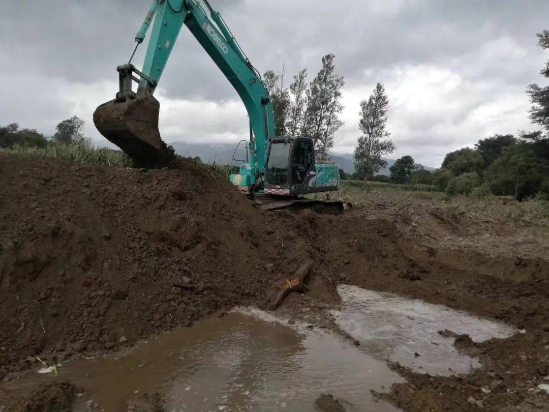 【重建家园】白石砬林场:干部群众勇担当 灾后重建谱新篇_居民_洪水