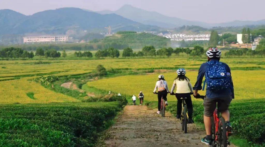 有着"江南第一山"美誉莫干山,不仅是休闲旅游胜地,其独特的自然环境
