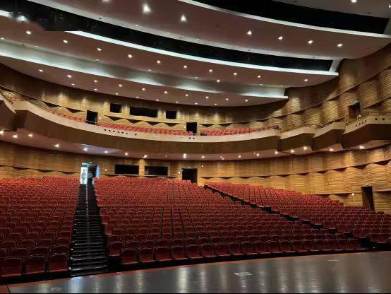 绍兴著名大剧院,将拍卖!_蓝天_文化_不动产