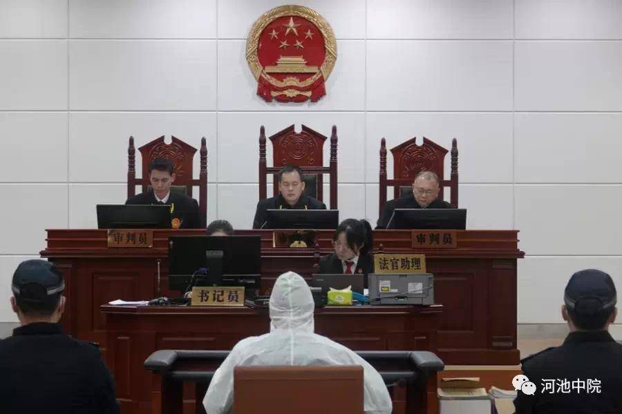 广西大化县原副县长卢阳,环江县林业局原局长覃栋受贿案一审宣判_被告
