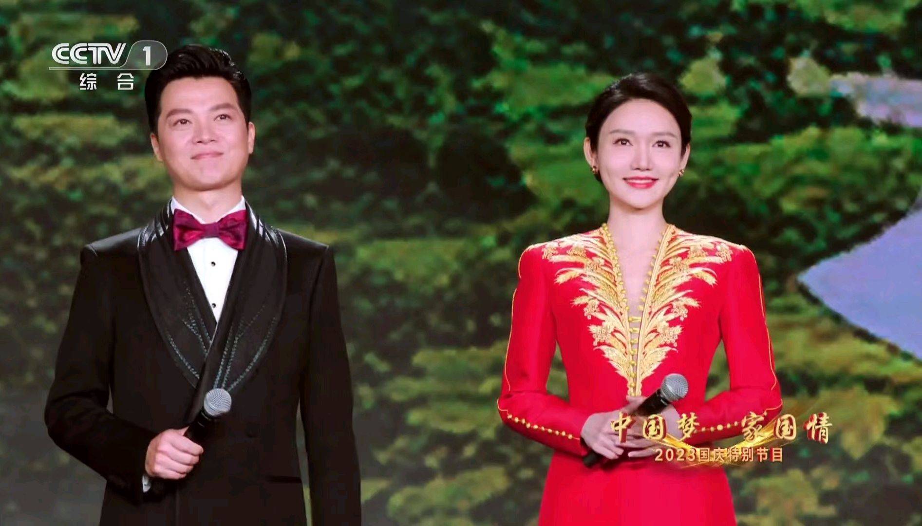 央视国庆晚会主持人任鲁豫龙洋,表现完美看似举足轻重,实则可有可无