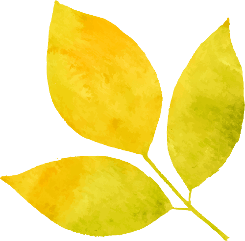 艺海拾趣 | 西贝柳斯交响诗——《芬兰颂》赏析