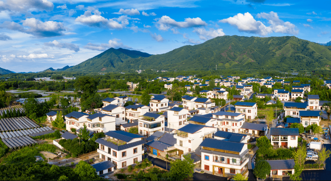 兴安县溶江镇:文农旅融合促发展 书写乡村振兴新画卷_葡萄园_产业