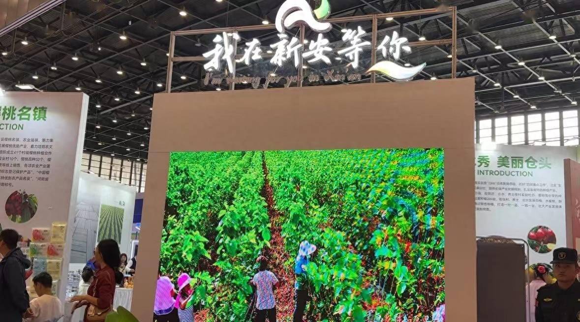 农业+特色+产业,看河南这些县区的“破圈密码”