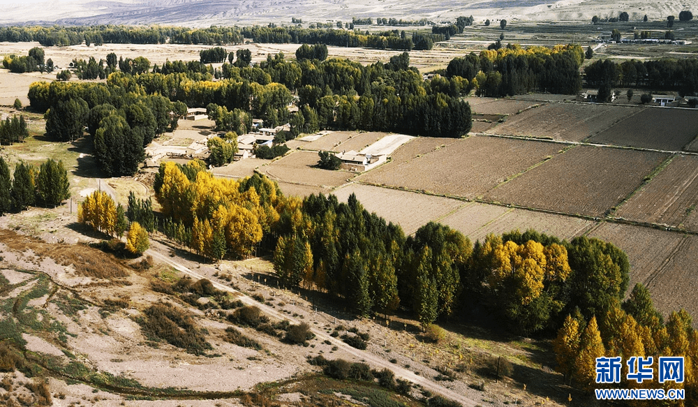 【"飞阅"中国】秋染焉支山_山丹县_张掖市_画卷