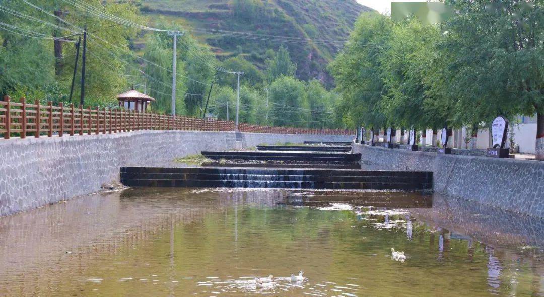 武山县杨河镇:和美乡村入画来