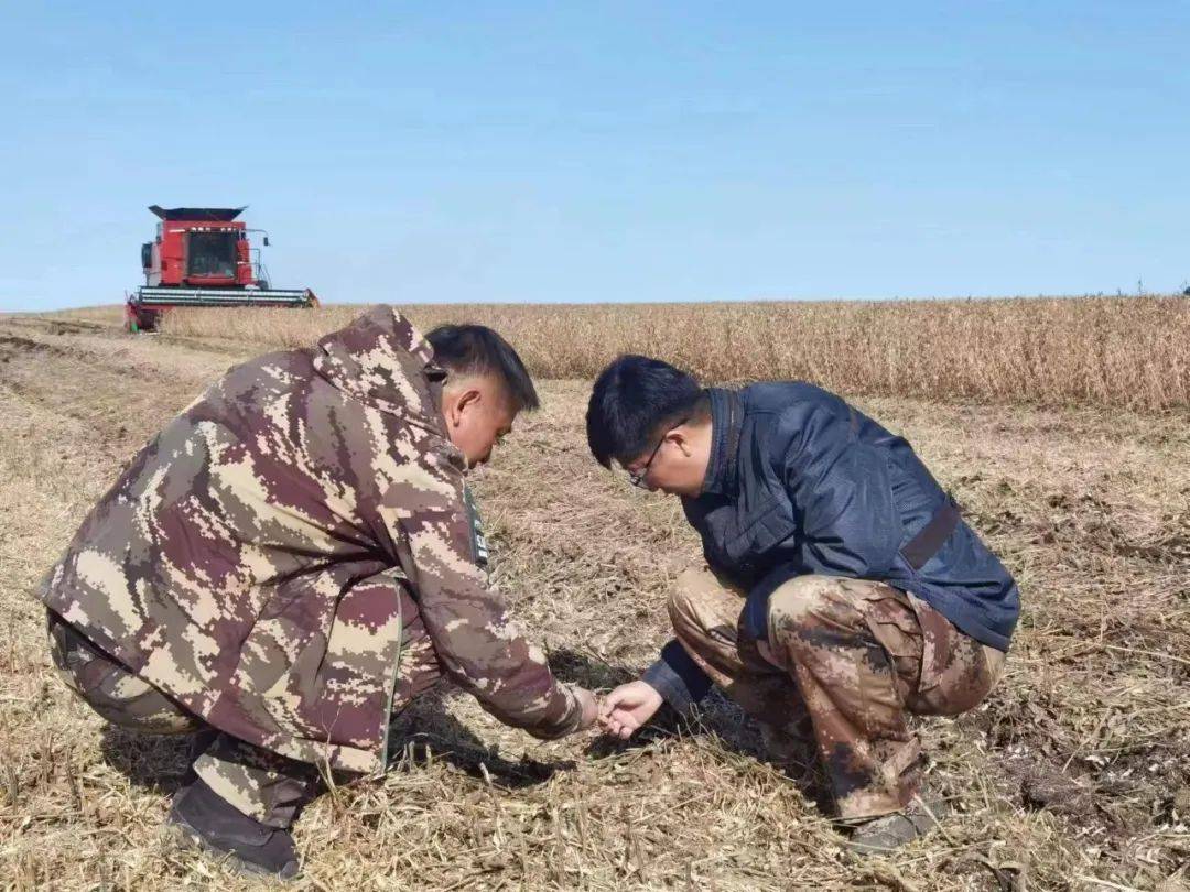 "这高产地块品种为金源73,从春耕到夏管再到秋收,我们严格按照北安