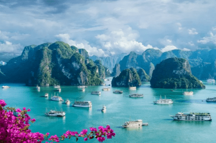 【中越双语】微资讯 越南下龙湾入选2024年最佳旅游目的地_nh_Long_ch