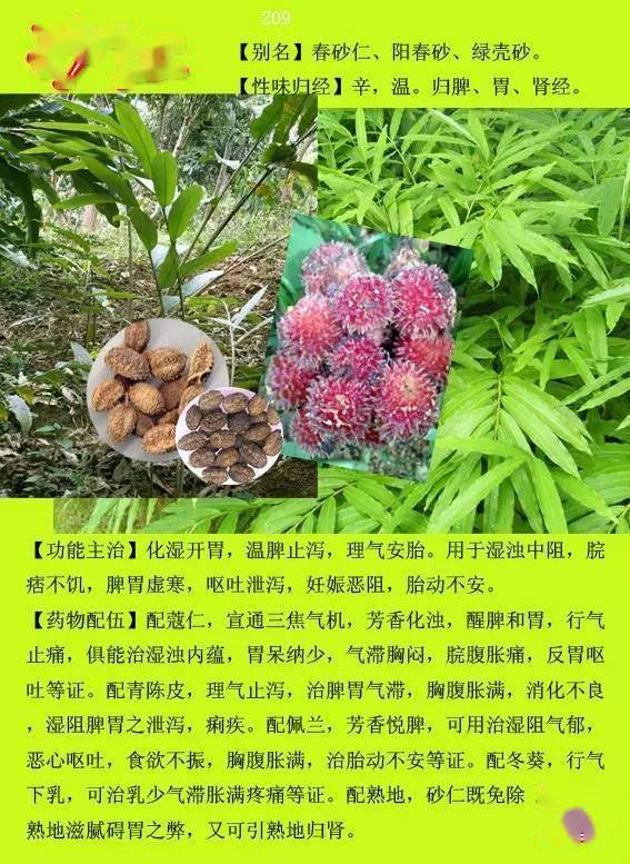 民间草药带名字图片图片