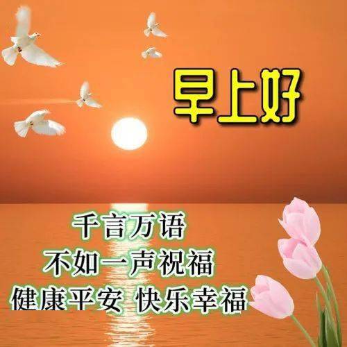 早安问候祝福语大全，祝你工作顺利，日日安康