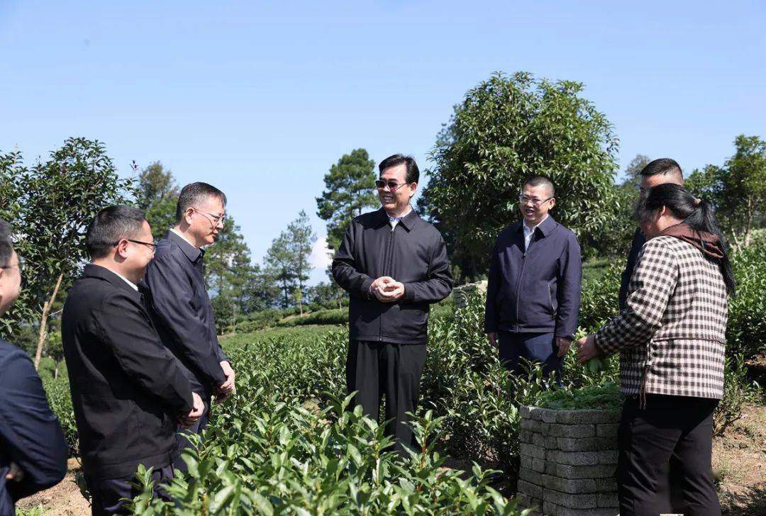 李炳军在遵义市正安道真务川调研_贵州_生产_企业