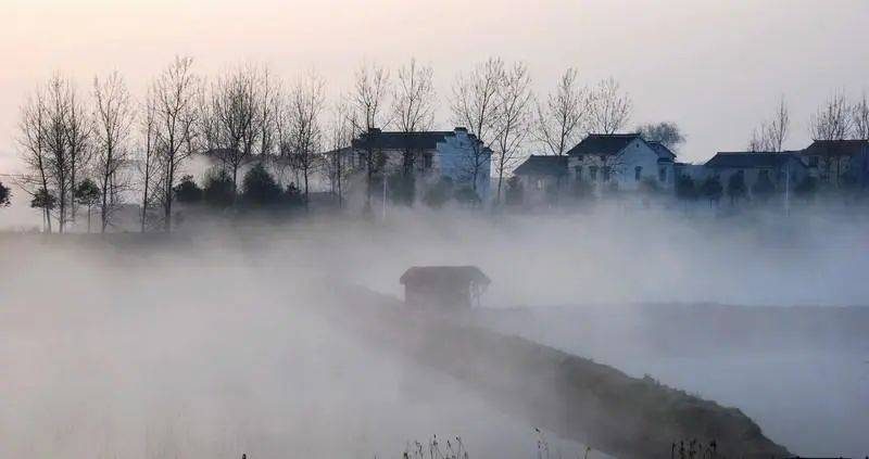 气象科普| 雾、露、霜都是怎么产生的?_水汽_空气_植物