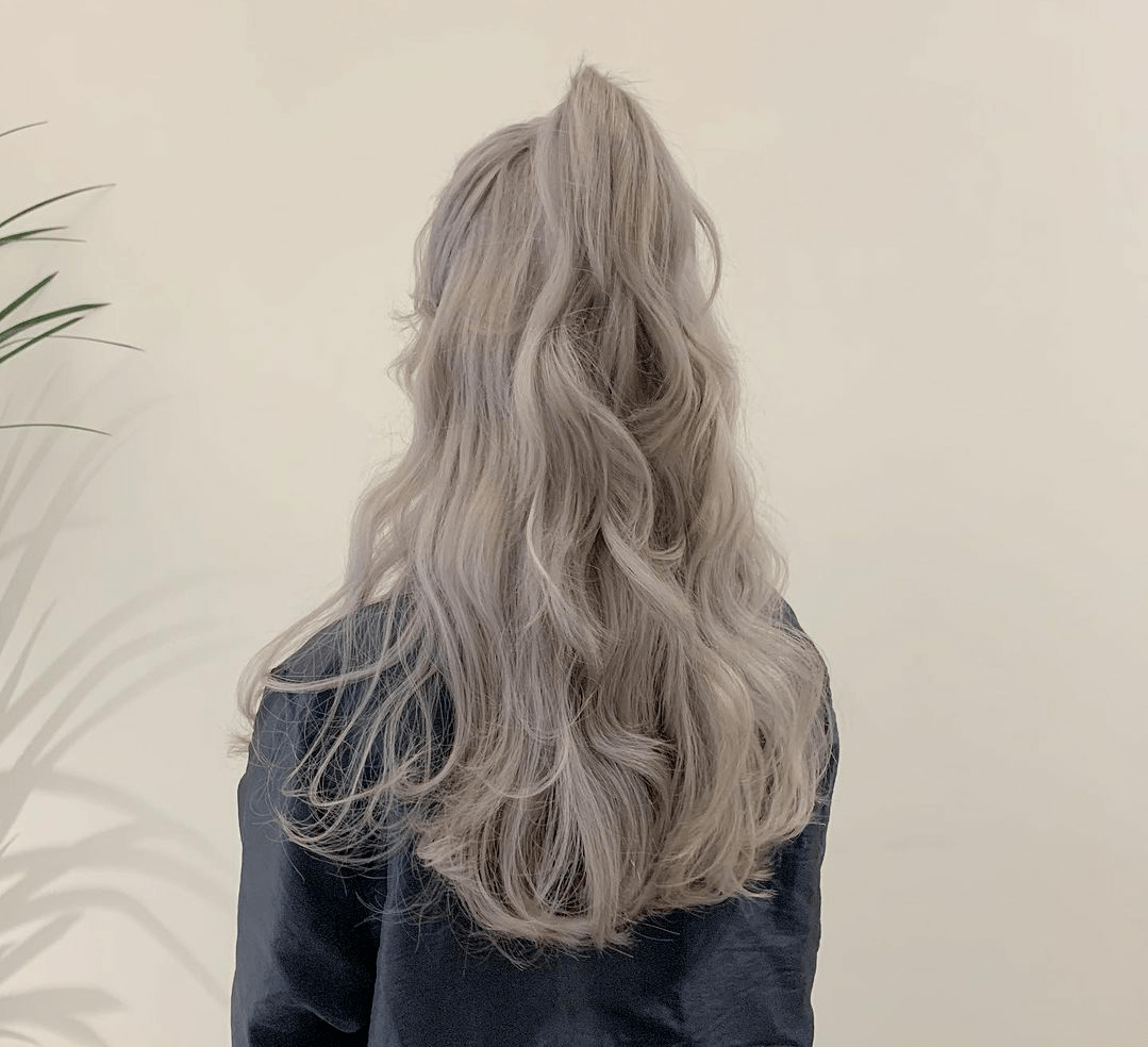 "海藻卷"