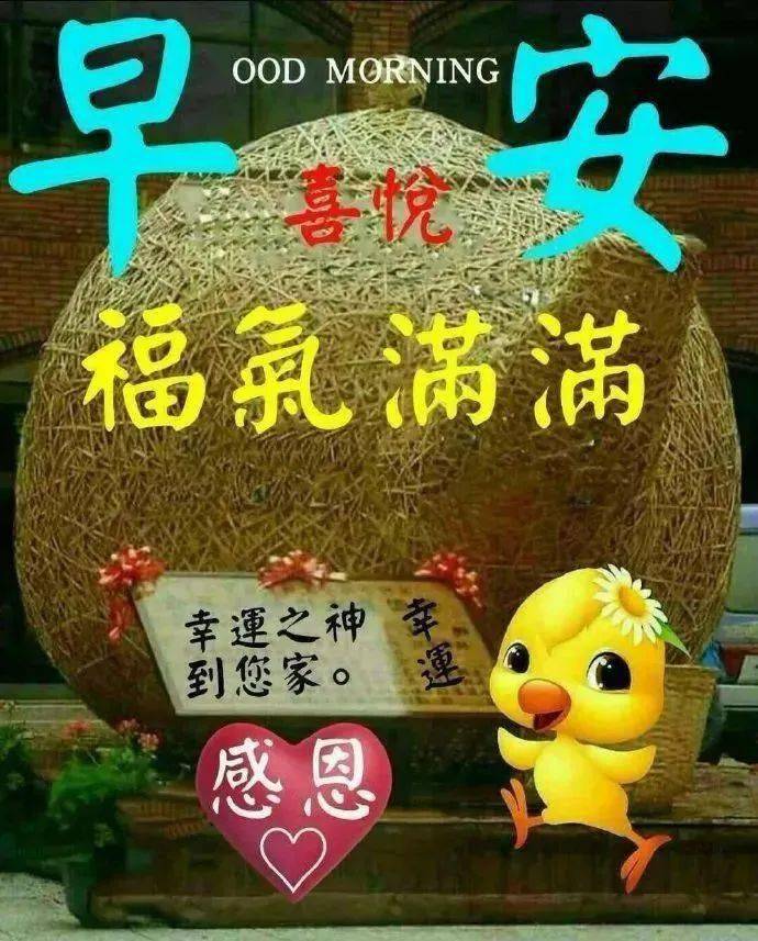 微信早晨好表情图片图片