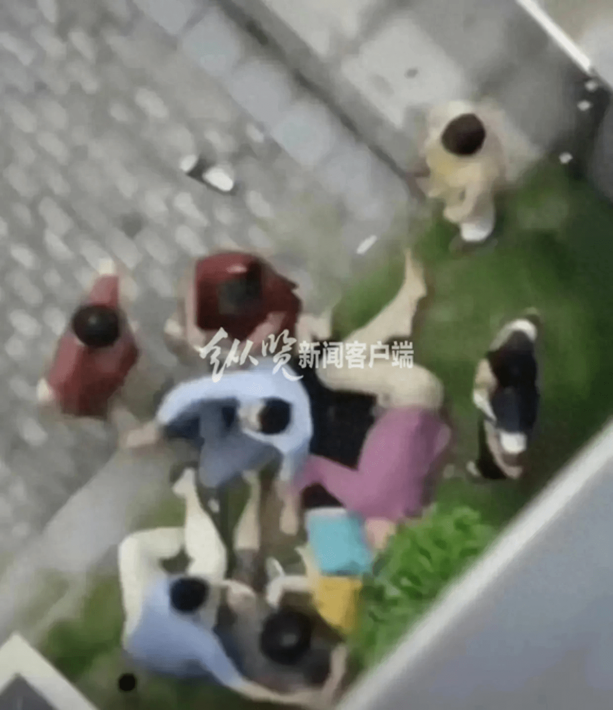 广东26岁女子殴打一名5岁男孩 连续踹击十数脚 警方通报：拘留_手机新浪网