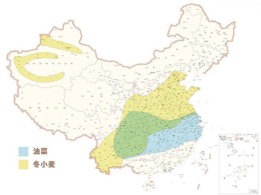 黄淮,西北地区东部,新疆,江淮,江汉以及西南地区,油菜主要分布在西南