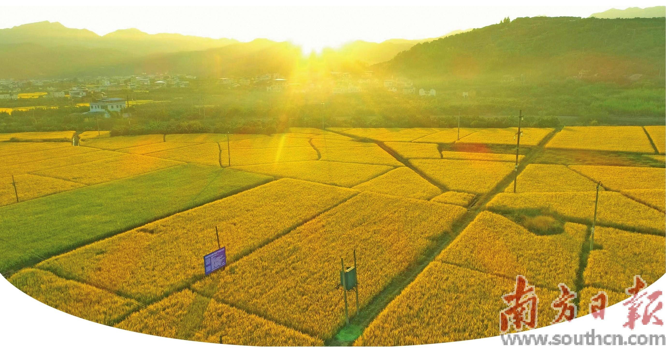 盘活资源禀赋 闯出三条新路_隆文镇_发展_产业