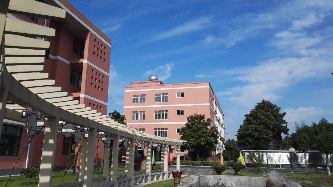 新优质学校 | 平湖市新埭中学:多向度管理赋能,让学校教育走向内生式
