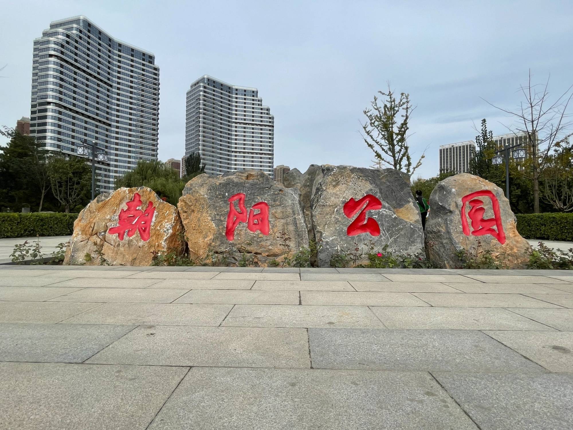 保定高新区:"口袋公园"提升居民幸福感_环境_市民_银杏