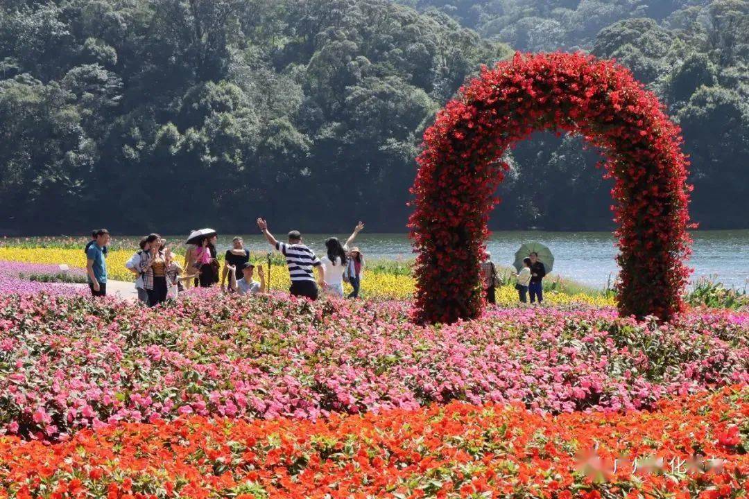 广州海拔800米七色花海开了,在天池边_石门_广东_从化