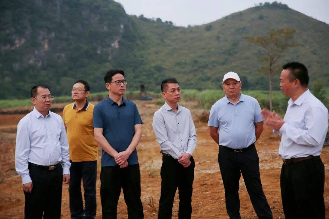 丁东弟到江州区调研肉牛养殖项目建设工作_产业_要求_目标